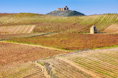 sonbahar ve davalillo Kalesi, la rioja (İspanya üzüm bağları)