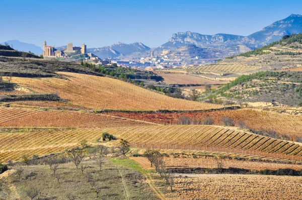 Vinhedos, San Vicente de la Sonsierra como fundo, La Rioja — Fotografia de Stock