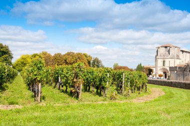 Saint-emilion, UNESCO tarafından dünya mirası Fransa