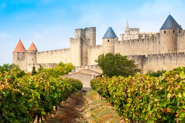 Vinhedos e cidade medieval de Carcassonne (França ) — Fotografia de Stock