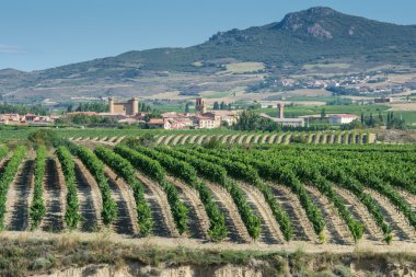 Vineyard, Sajazarra as background, La Rioja clipart