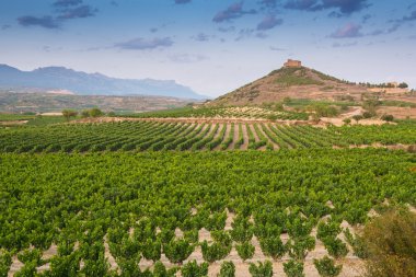 üzüm bağları ve davalillo Kalesi, la rioja (İspanya)