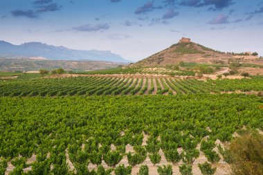 Vineyards and Davalillo castle, La Rioja (Spain) clipart