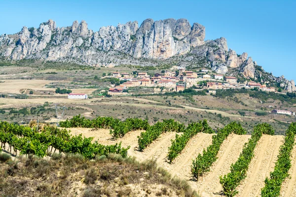 Vinhedo, Cellorigo como fundo, La Rioja — Fotografia de Stock