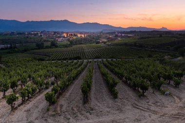 Vineyards and town of Elciego at sunrise, Rioja Alavesa, Spain clipart