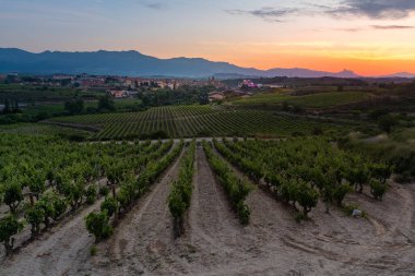 Vineyards and town of Elciego at sunrise, Rioja Alavesa, Spain