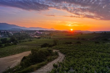 Vineyards and town of Elciego at sunrise, Rioja Alavesa, Spain