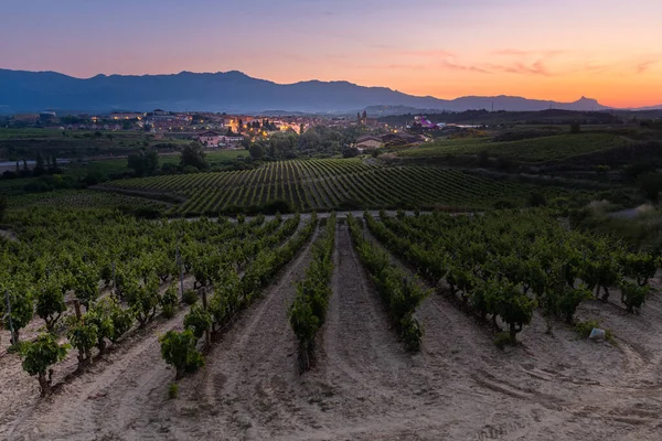 Vineyards Town Elciego Sunrise Rioja Alavesa Spain — Fotografia de Stock