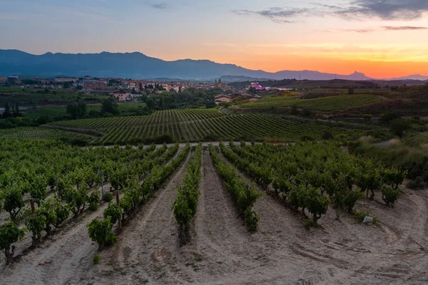 Vineyards Town Elciego Sunrise Rioja Alavesa Spain — Stock Photo, Image