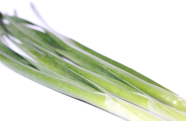 Chives — Stock Photo, Image