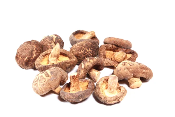 kurutulmuş mantar