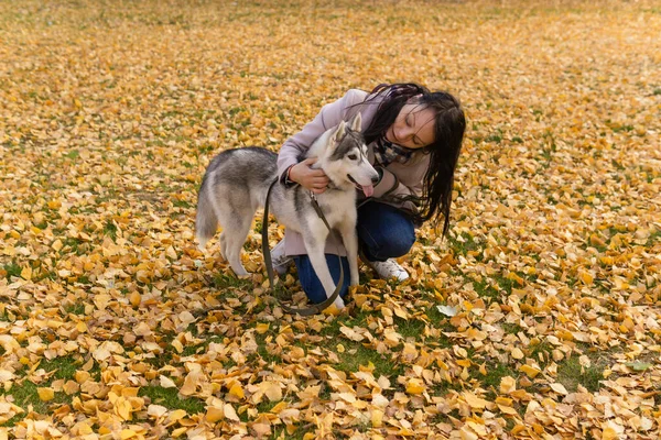 公園の紅葉の中で若い女性が犬とコミュニケーションをとり — ストック写真