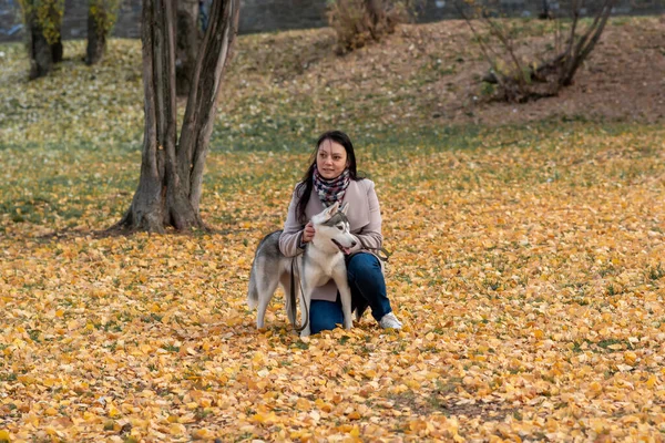 在公园里秋天的树叶中 年轻的女人与她的狗交流 — 图库照片