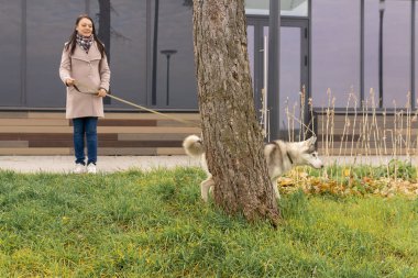 Evcil köpek yürürken ağaca işiyor.