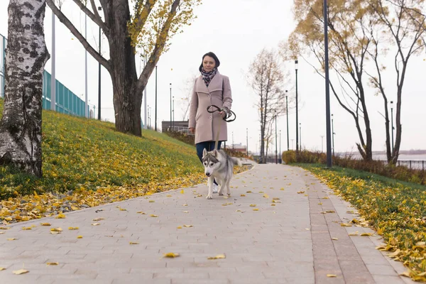 秋の海岸公園を犬が歩く女性 — ストック写真