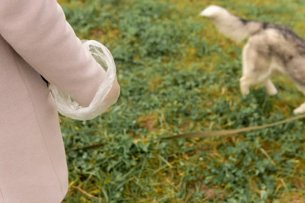 犬の飼い主は散歩中にペットの後を掃除する準備をしながら荷物を持っています — ストック写真