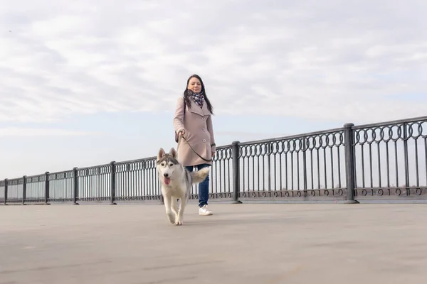 秋の日に堤防沿いを犬が歩いている若い女性が — ストック写真