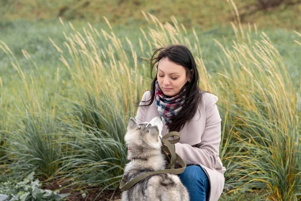 若い女性は寒い風の中で犬と秋の草を相手にコミュニケーションをとり — ストック写真