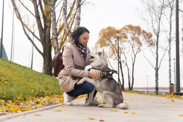若い女性は秋の海岸公園でハスキー犬とコミュニケーションをとり — ストック写真
