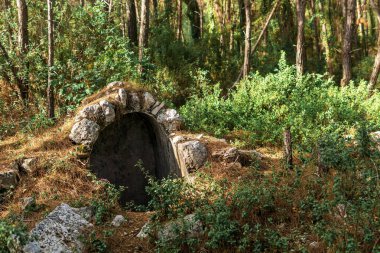 Antik Phaselis kenti yakınlarındaki ormandaki antik bir binanın kalıntıları.
