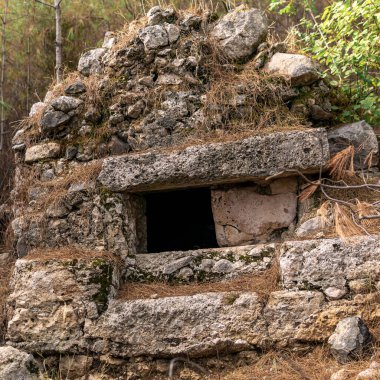 Ormanla kaplı antik bir Roma mezarının kalıntıları.