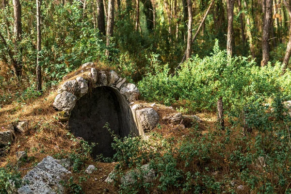 古代都市ファセリスの近くの森の中の古代の建物の遺跡 — ストック写真