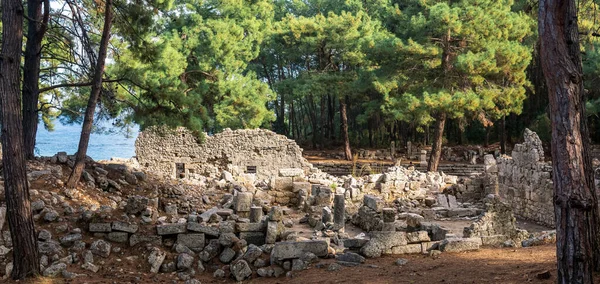 俯瞰海滨森林中古城法西里斯的废墟 — 图库照片