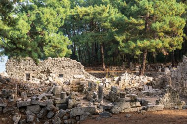 Deniz kıyısındaki ormandaki antik şehir Phaselis 'in kalıntılarının manzarası.