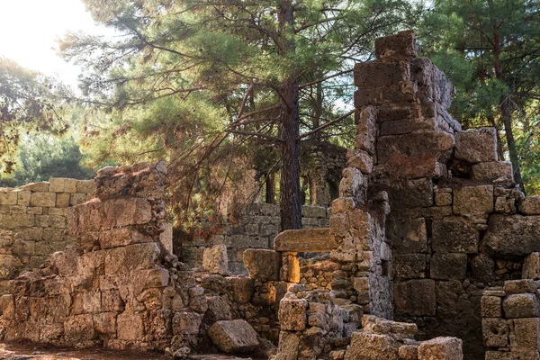 Ruinas Antigua Construcción Entre Bosque Antigua Ciudad Phaselis — Foto de Stock