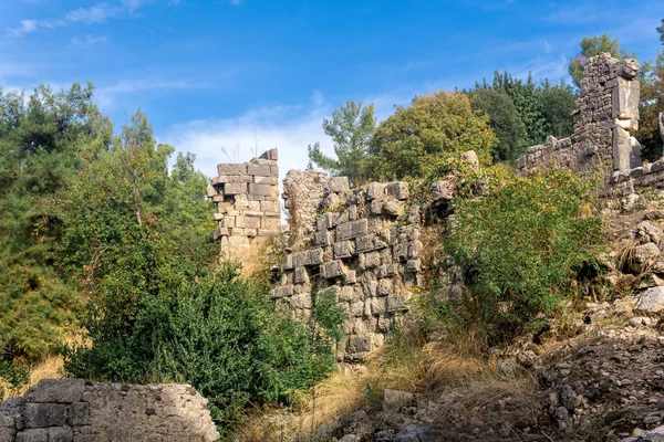 Ruinas Del Antiguo Edificio Entre Bosque Antigua Ciudad Phaselis Turquía — Foto de Stock
