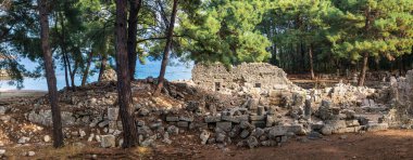 Deniz kıyısındaki ormandaki antik şehir Phaselis 'in kalıntılarının manzarası.