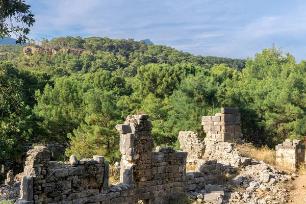 古代都市ファセリスの森の中の古代の建物の遺跡 トルコ — ストック写真