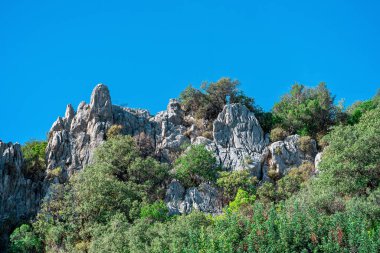 Tropik dağ manzarası - beyaz kireçtaşı kayalıkları arasında çalılık bitki örtüsü