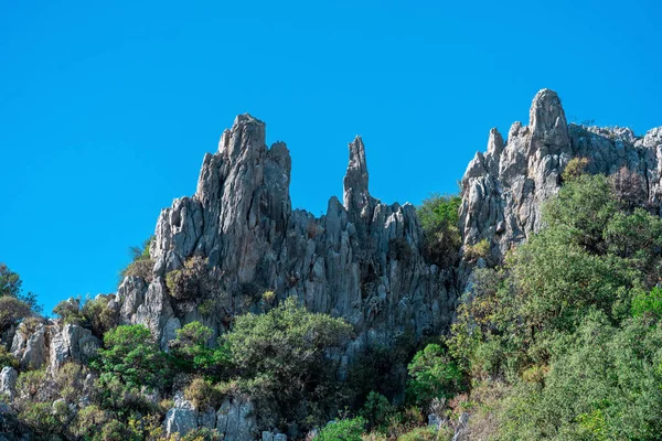 热带山地景观 白色石灰岩悬崖间茂密的植被 — 图库照片