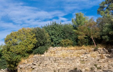 Türkiye 'nin antik Phaselis kentindeki orman arasında antik amfitiyatro kalıntıları