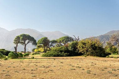 Turke 'deki Beydaglari Milli Parkı' ndaki Cirali köyü yakınlarındaki tropikal deniz manzarası