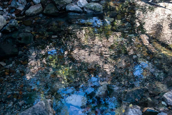 Natural Spring Clear Water Stones Shady Forest — 图库照片