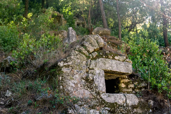 Cripta Antigua Entre Bosque Las Ruinas Antigua Ciudad Olympos Turke — Foto de Stock