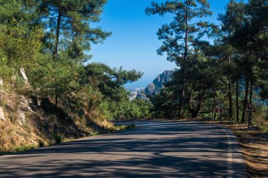 Ormanlık bir dağlık alanda yol denize çıkar.