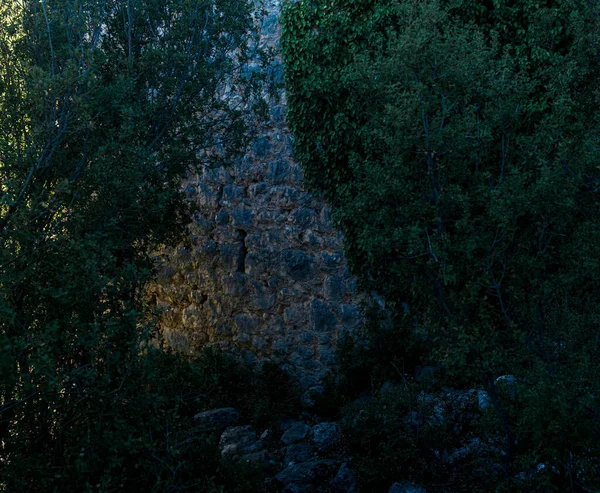 Σκιερό Κατάφυτο Ερειπωμένο Αρχαίο Τείχος Περιτυλιγμένο Κισσό — Φωτογραφία Αρχείου