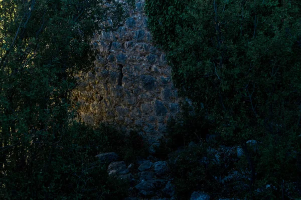 Σκιερό Κατάφυτο Ερειπωμένο Αρχαίο Τείχος Περιτυλιγμένο Κισσό — Φωτογραφία Αρχείου