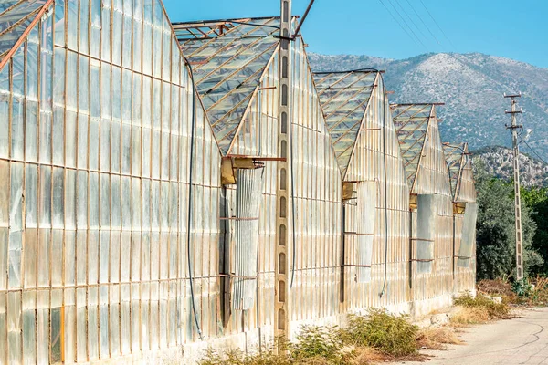 Large Farm Greenhouses Backdrop Mountains — Stock Photo, Image