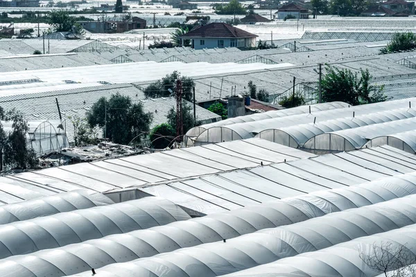 土耳其南部Demre镇的风景 屋顶为农业温室 — 图库照片