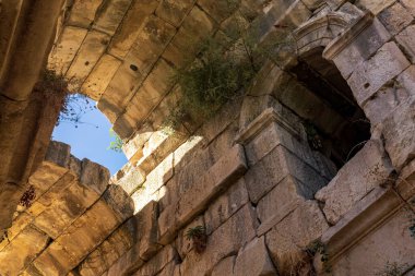 view of the arched vaults of ancient ruins overgrown with vegetation