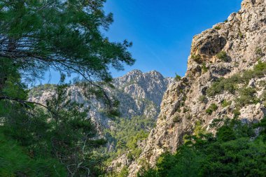 Dağ manzarası, kireç taşının tepeleri Taurus Sıradağları, çam dalları ve gökyüzü.