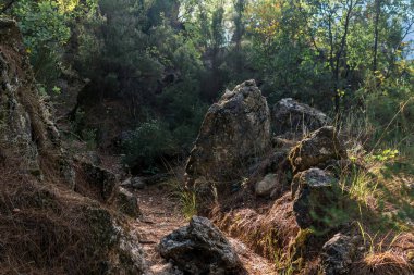 Granit kayaların arasında bir yamaç boyunca ormanlık dağ yolu
