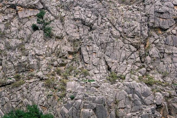 Paysage Texture Naturelle Paroi Rocheuse Transparente Avec Fissures Végétation — Photo