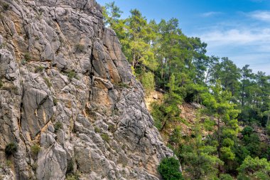 Dağ manzarası - iki dağ güveci ve ormanlık yamaçlı dik uçurum