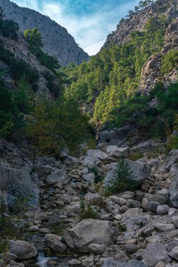 Kayalık bir vadide deresi olan dağ manzarası