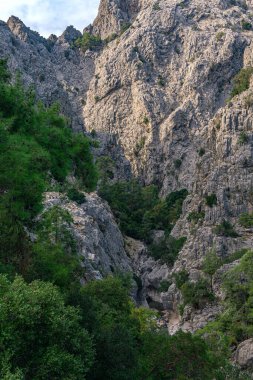 Kayalık bir vadide deresi olan dağ manzarası